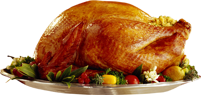 Pavo de Nochebuena PNG