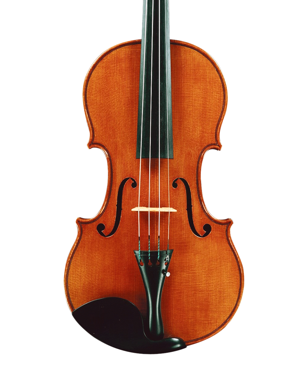 Violin PNG