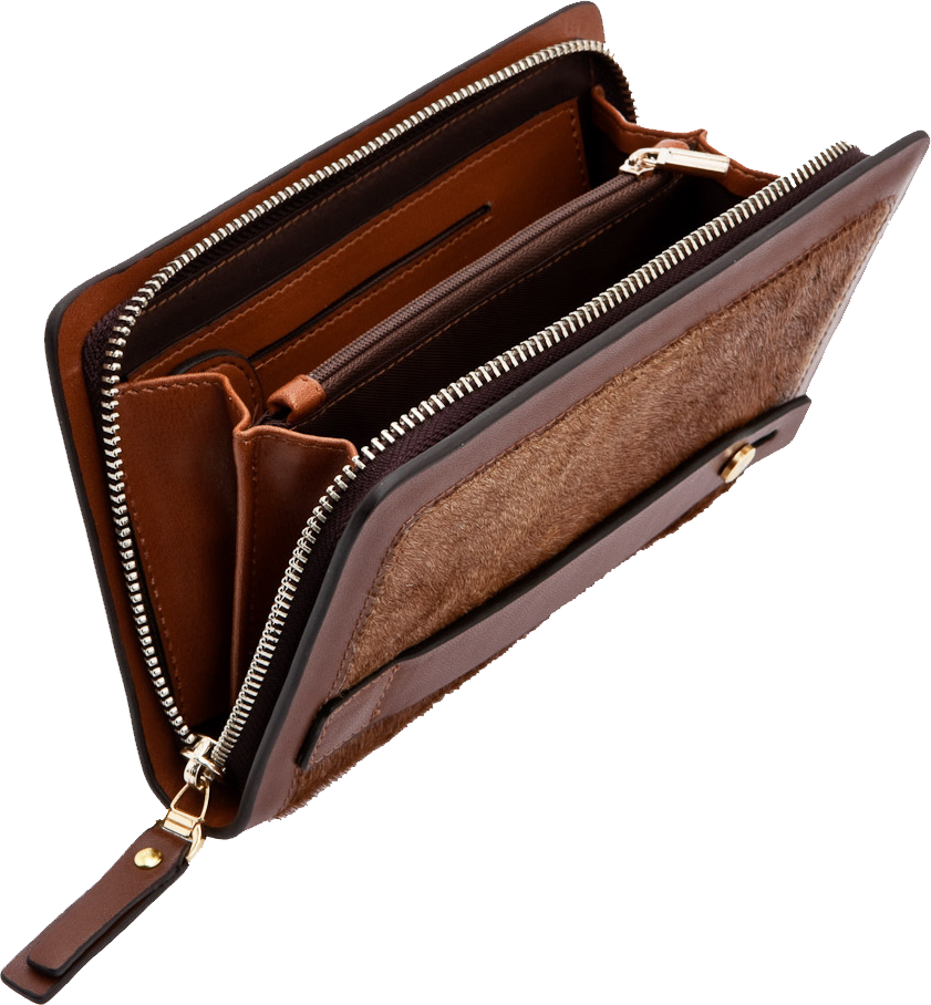 Cartera PNG