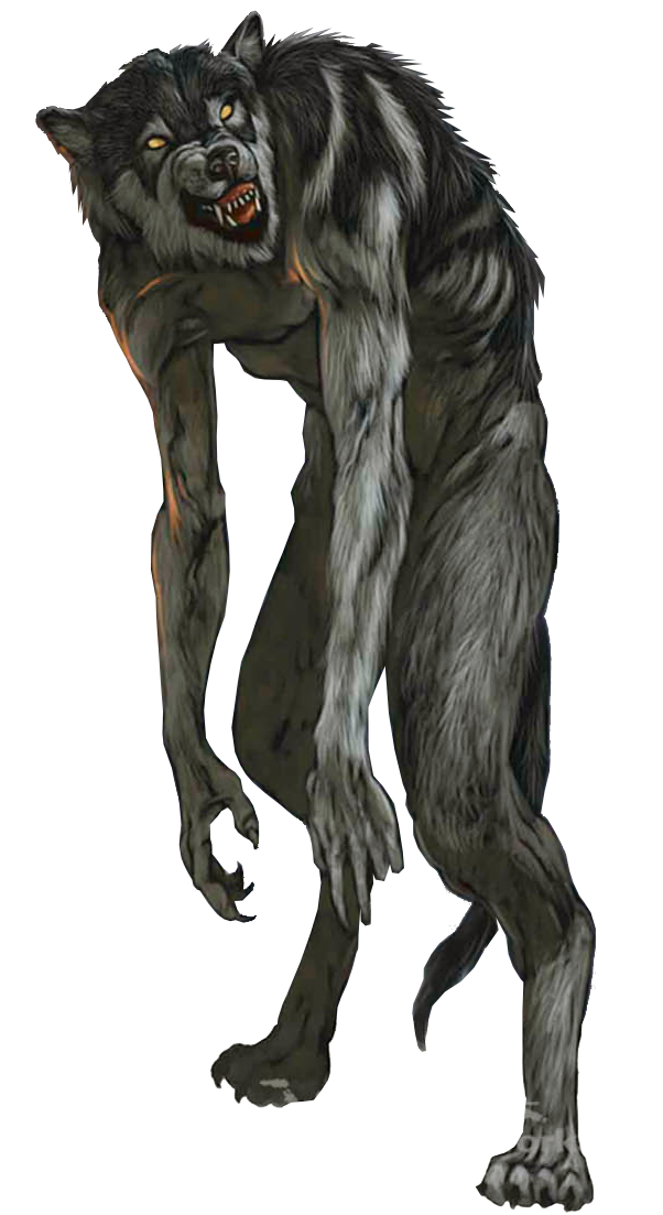 Hombre lobo PNG