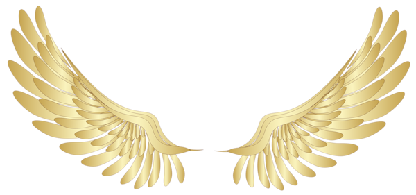 Крылья PNG
