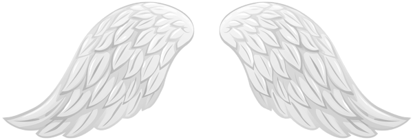 Крылья PNG