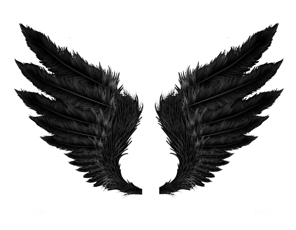 Black evil wings PNG