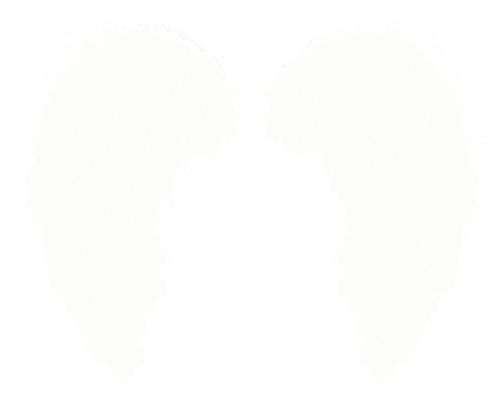 Wings PNG image free Download 