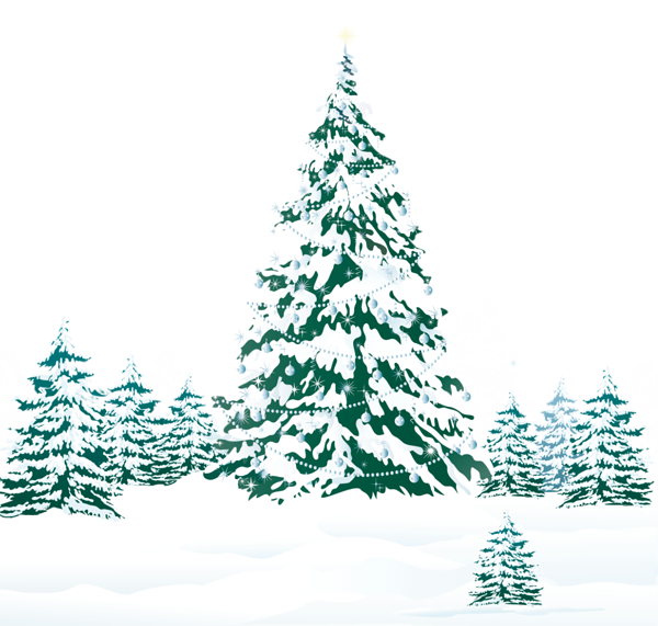 Winter forest PNG