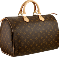 Louis Vuitton сумка PNG фото