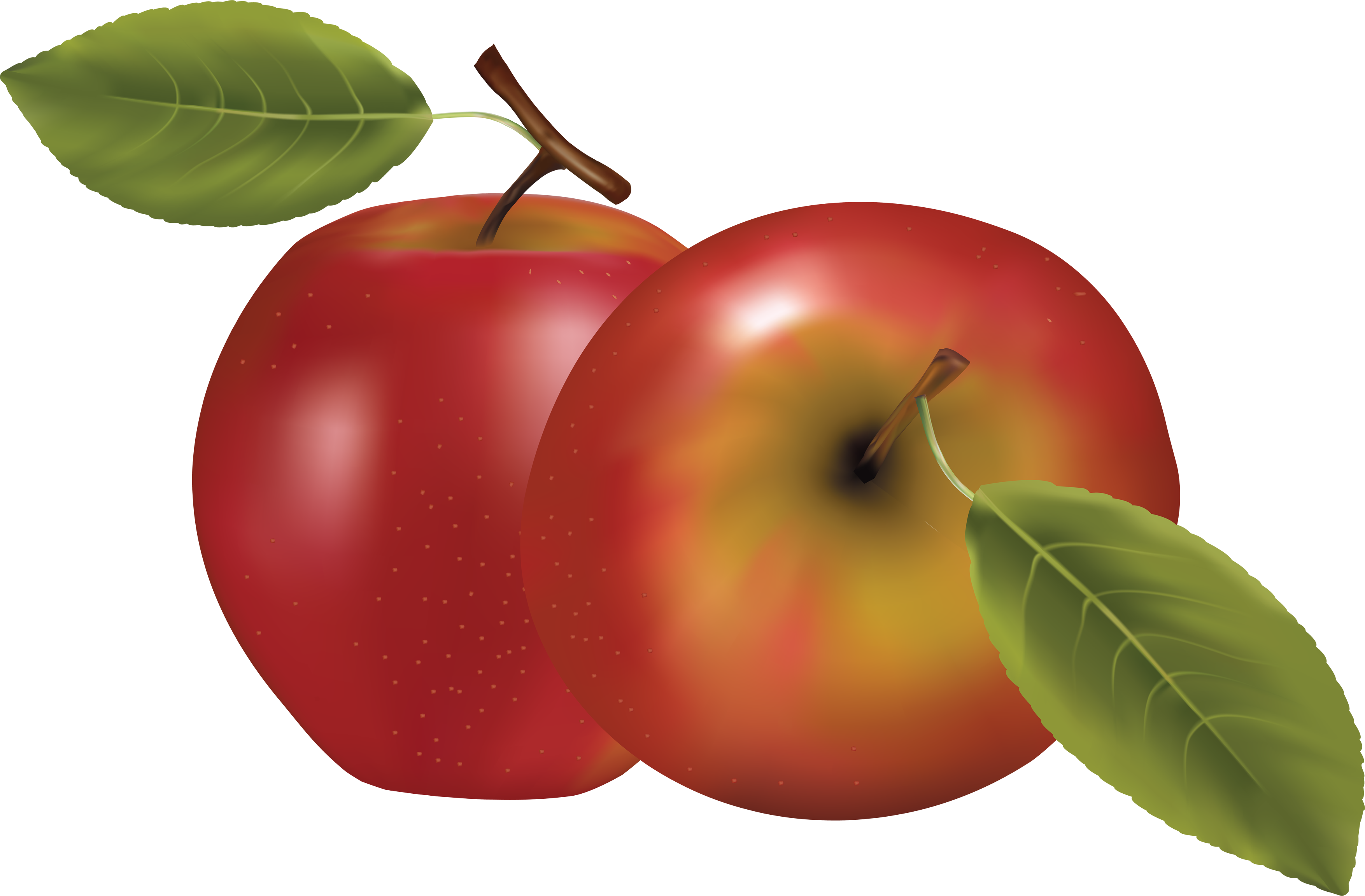 red apple clipart png