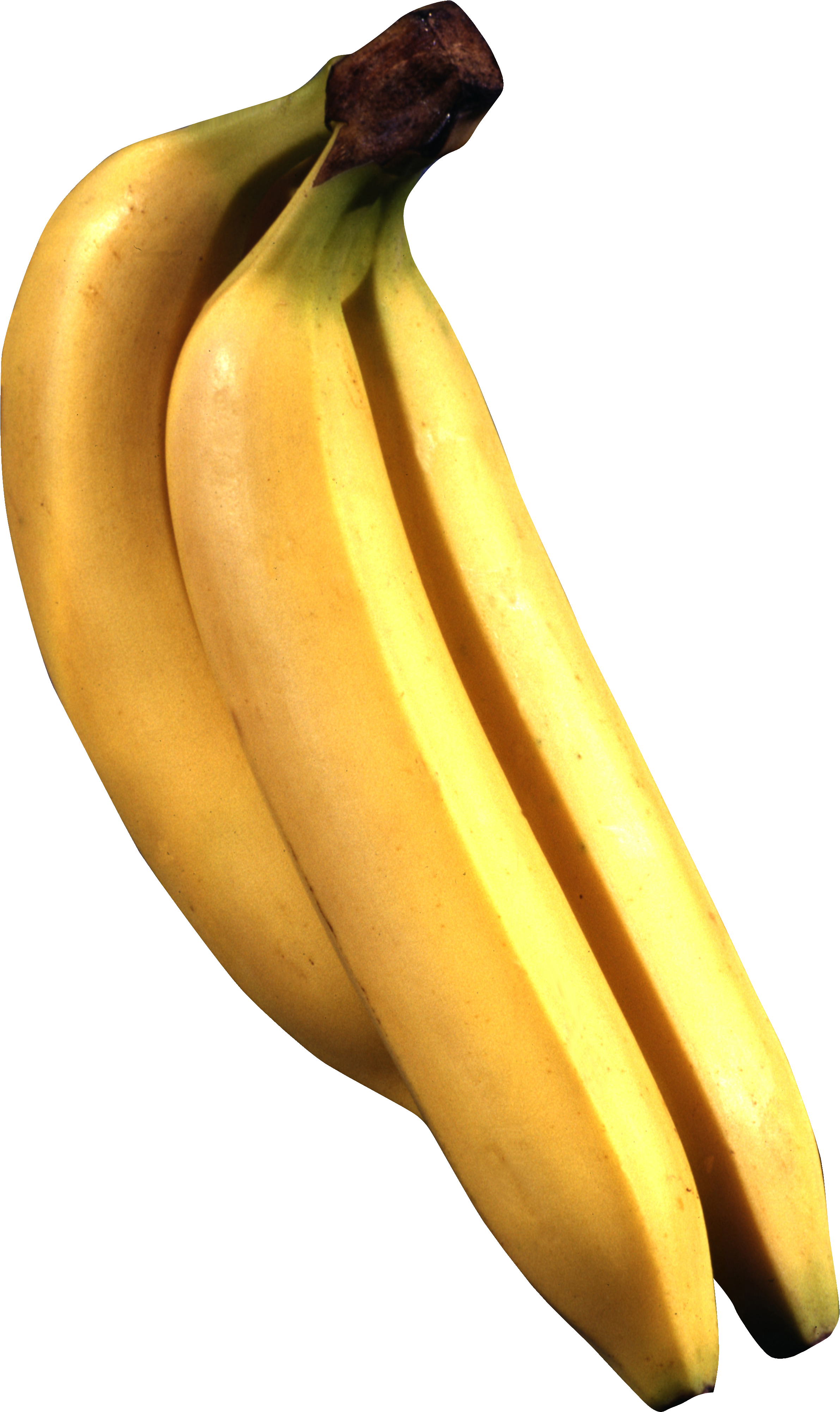 Banana png illustration, transparent background.