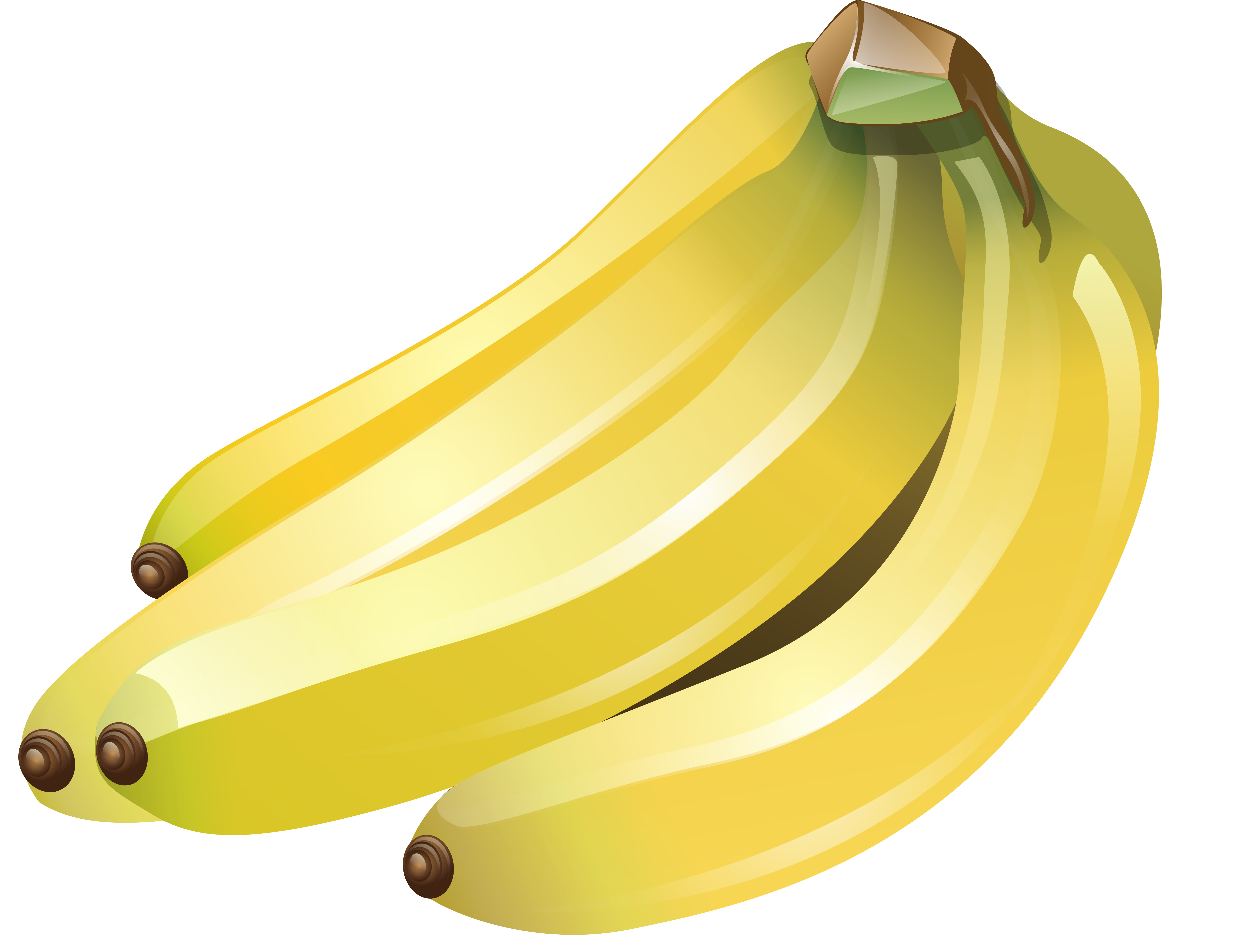 Download Peeled Banana Transparent PNG on YELLOW Images