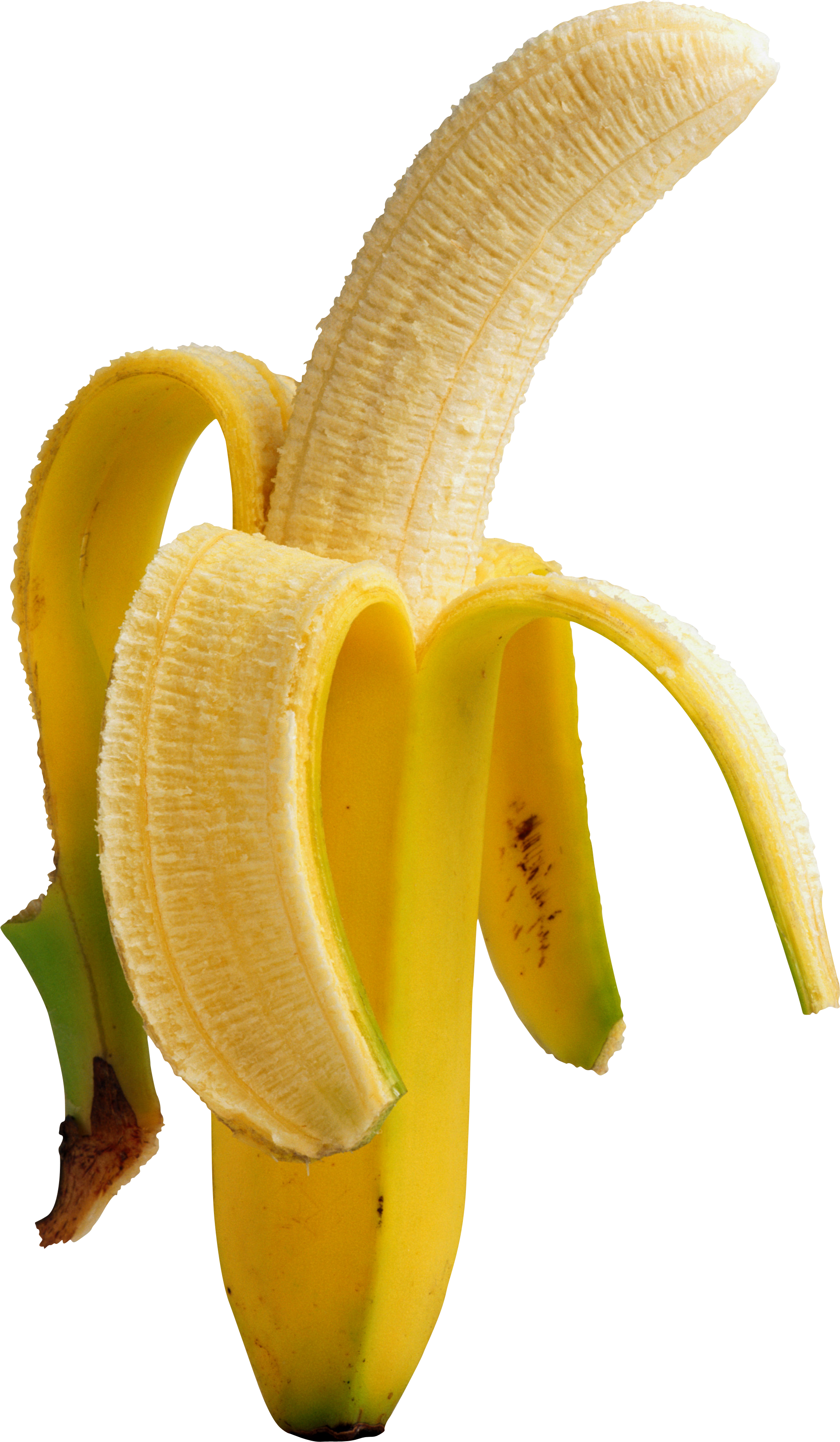 Banana PNG Transparent Images Download - PNG Packs
