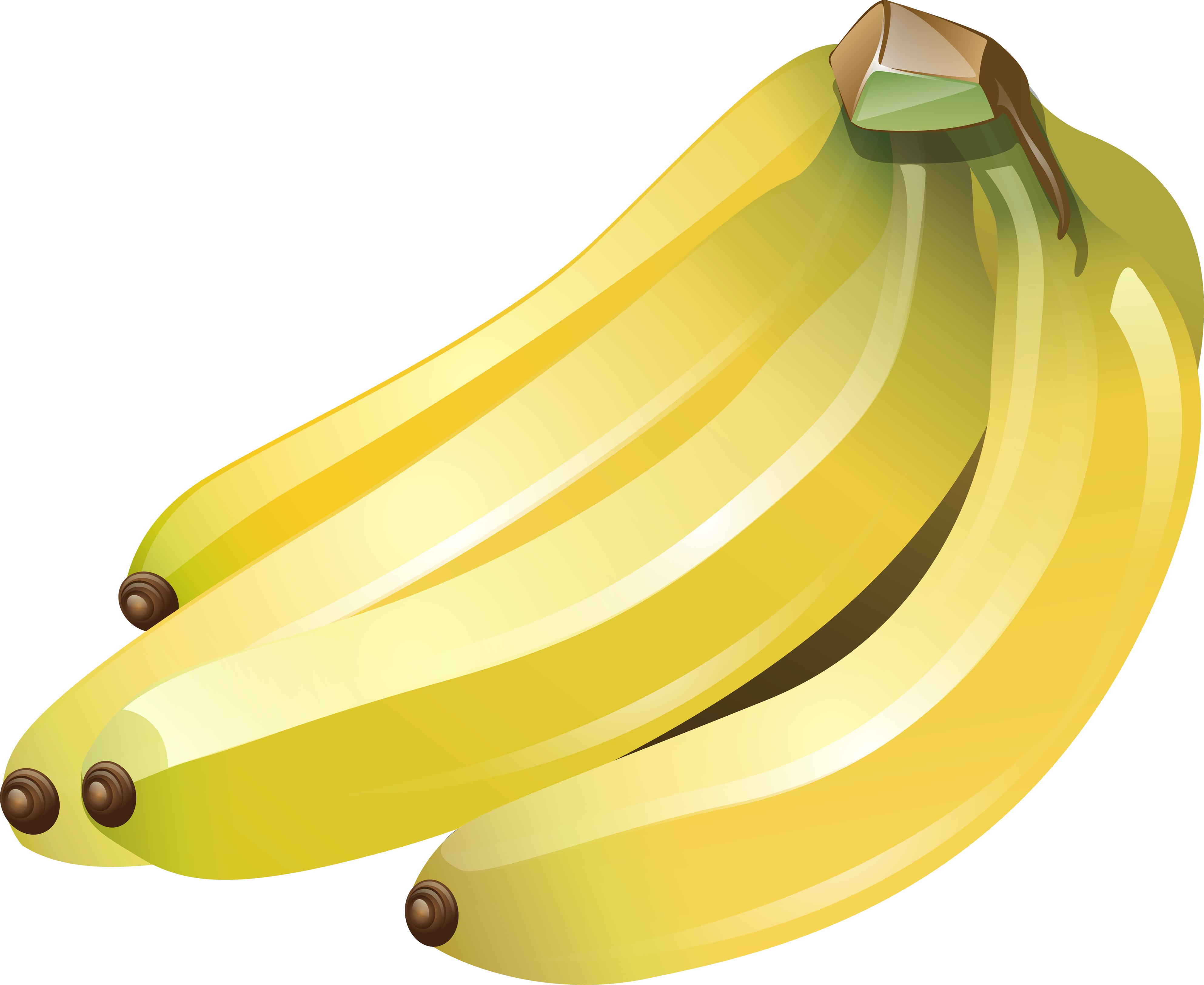 Many bananas PNG picture transparent image download, size: 2517x1767px