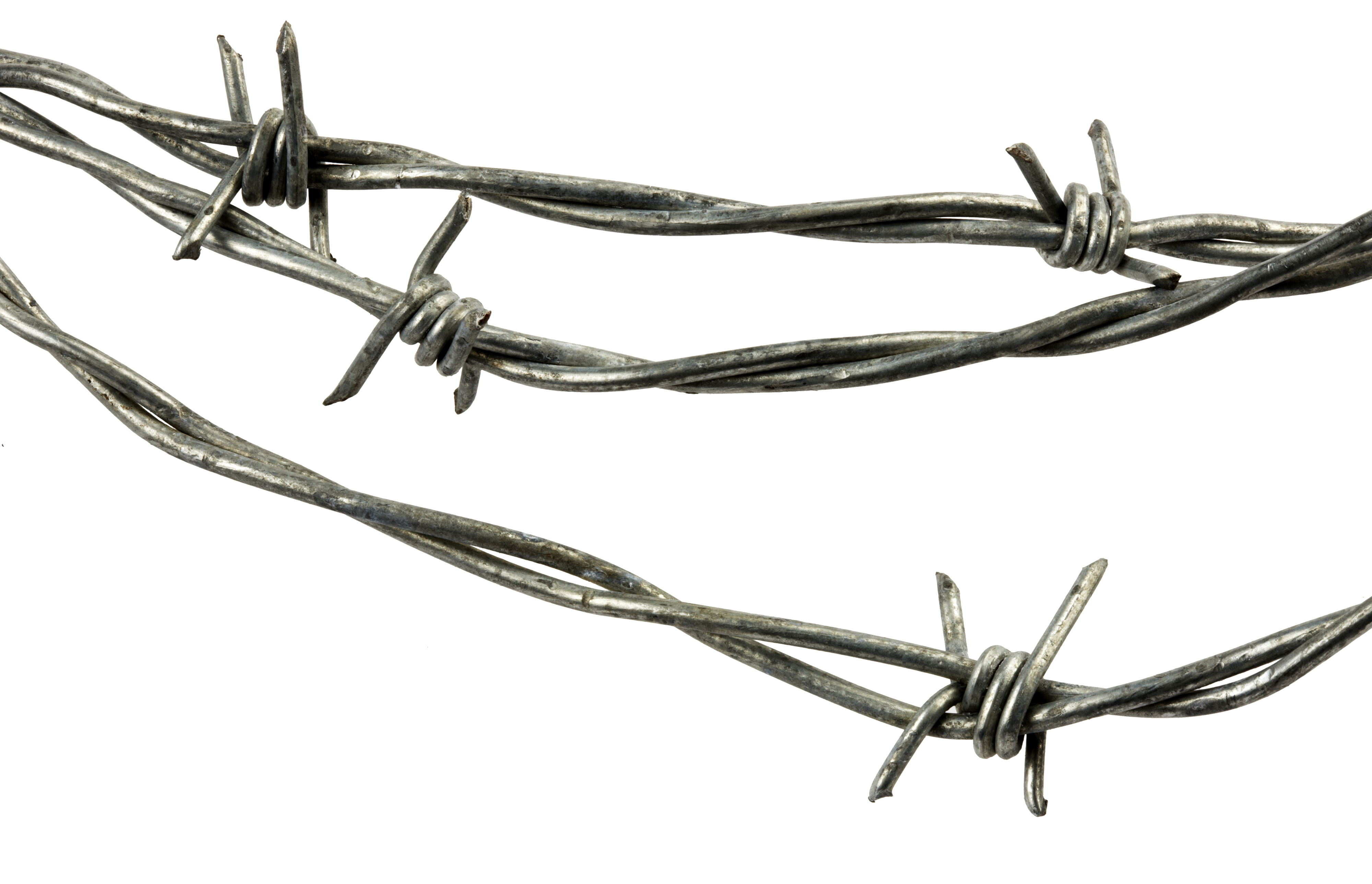 Barbwire PNG transparent image download, size: 4000x2579px