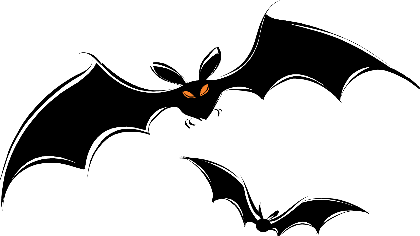 Bat PNG transparent image download, size: 1600x900px