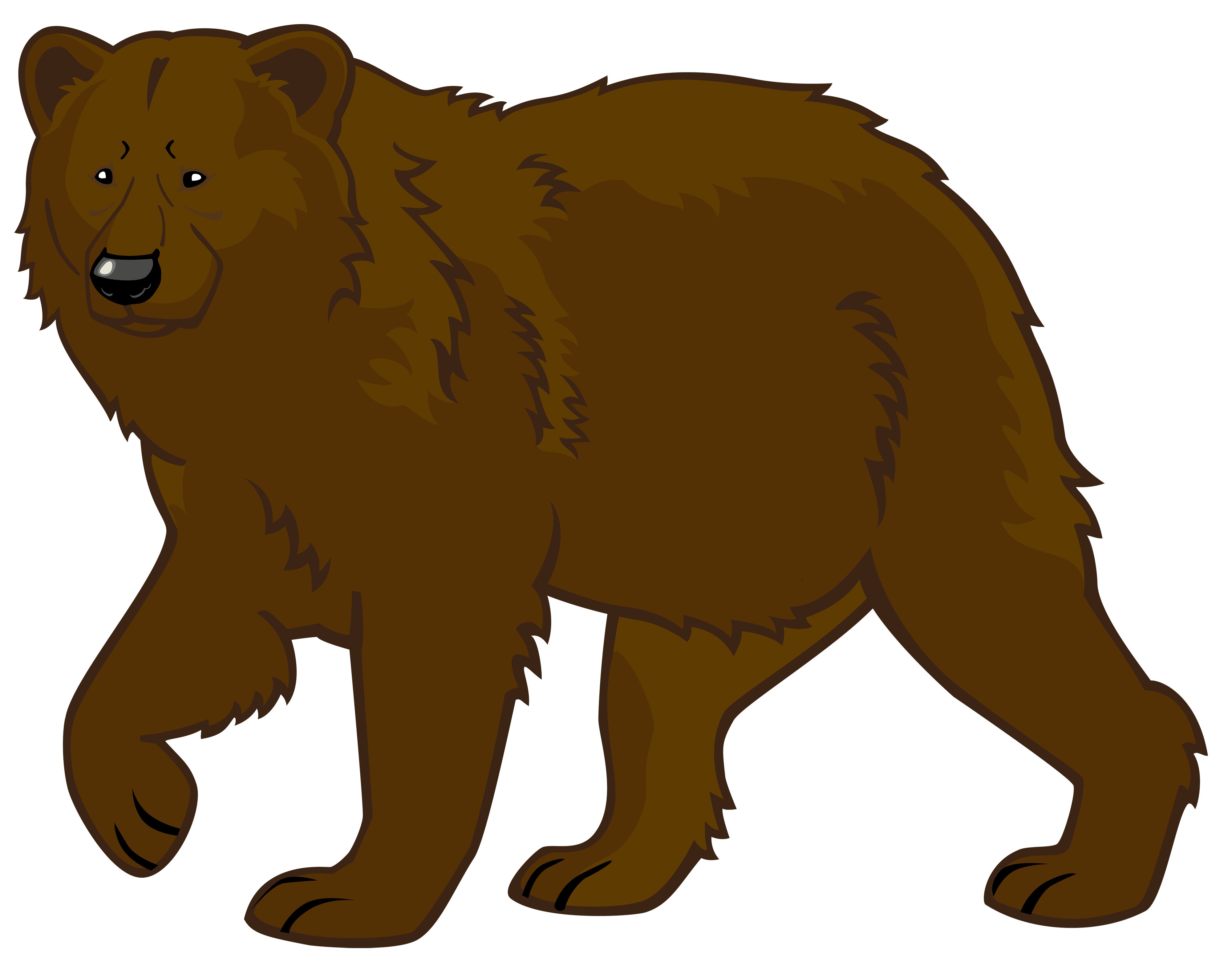 bear PNG transparent image download, size: 4000x3097px