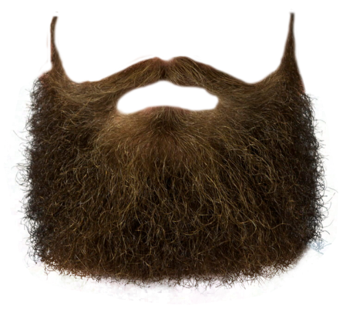 Beard PNG transparent image download, size: 500x453px