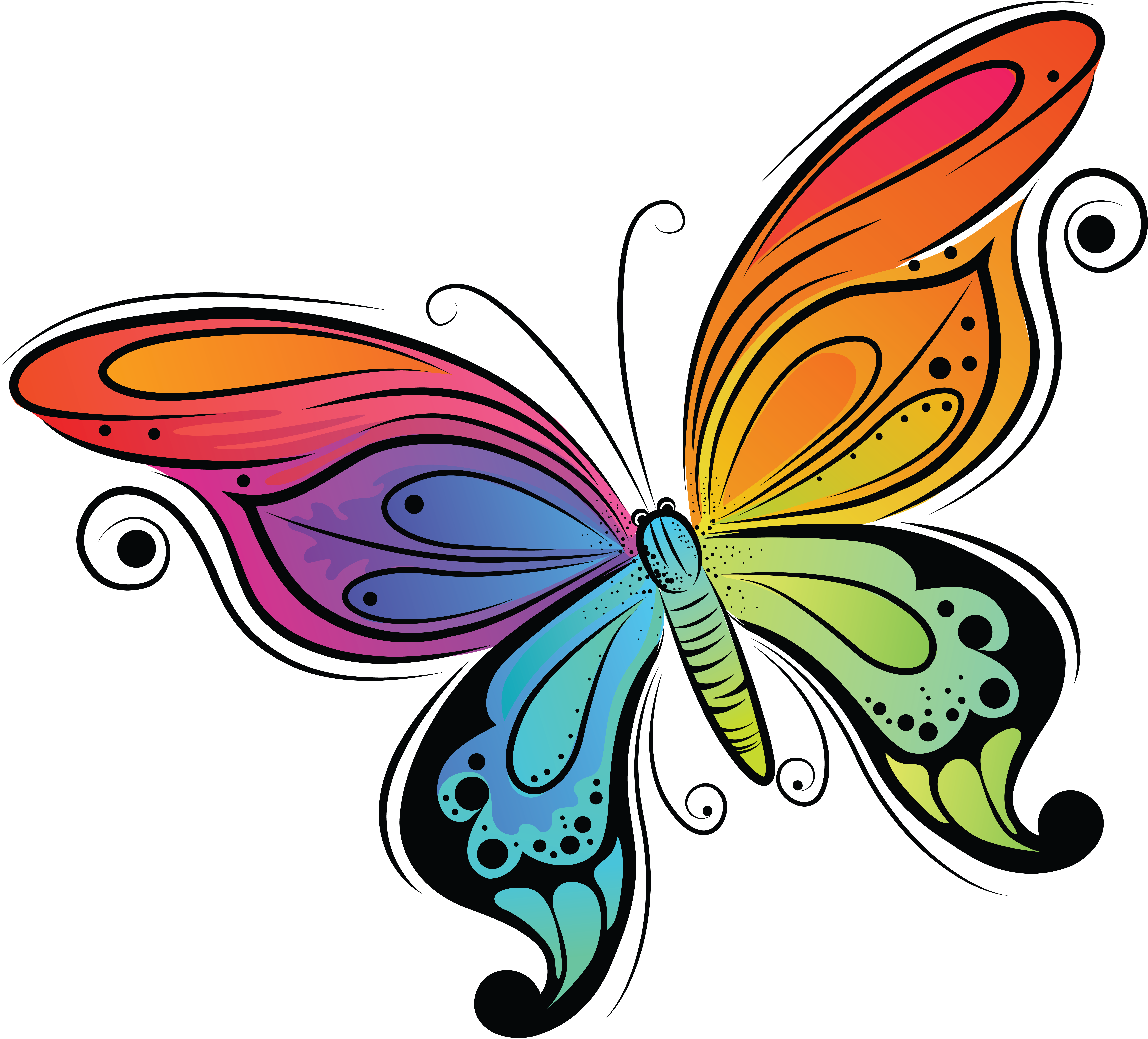 color butterfly PNG transparent image download, size: 6845x6196px