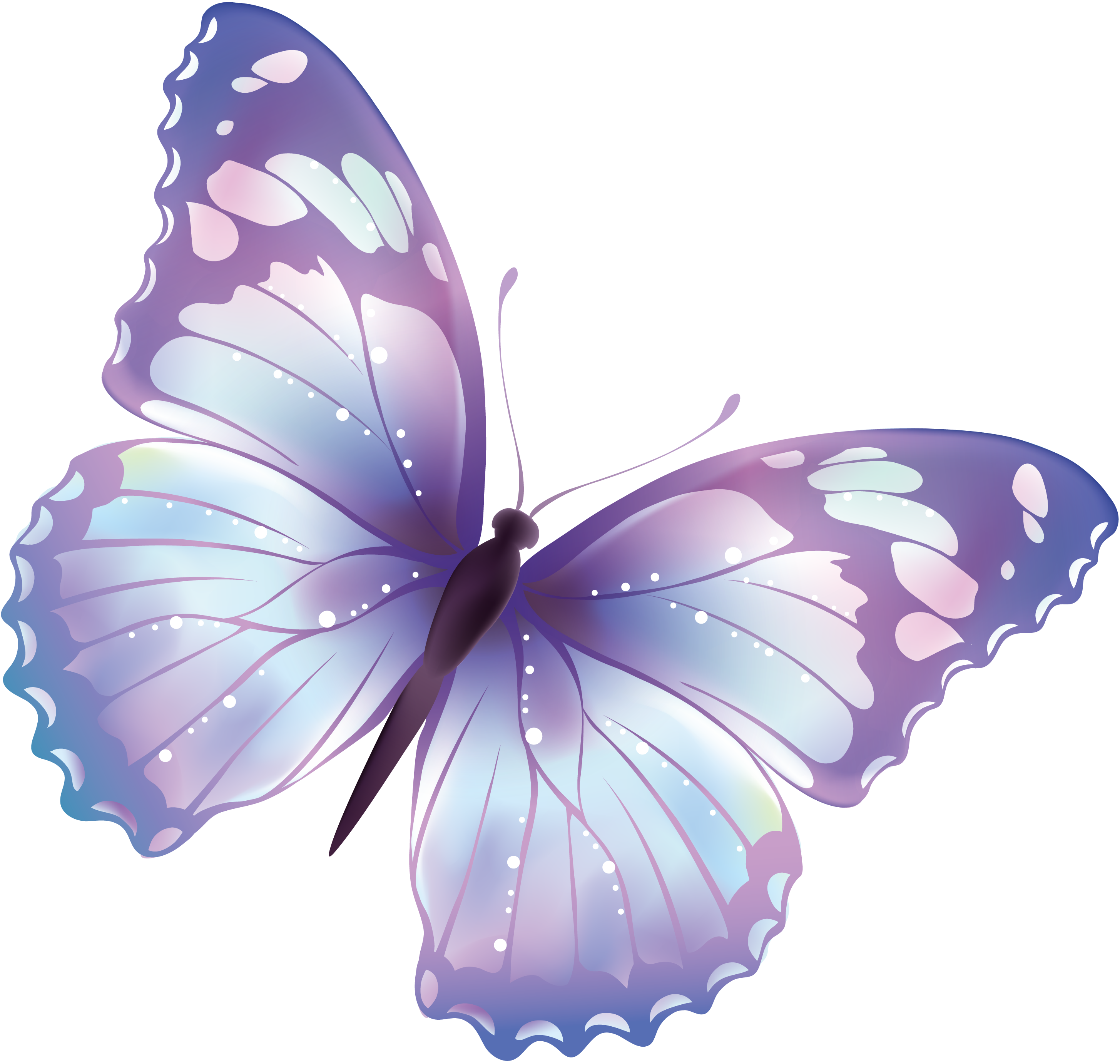 purple butterflies png