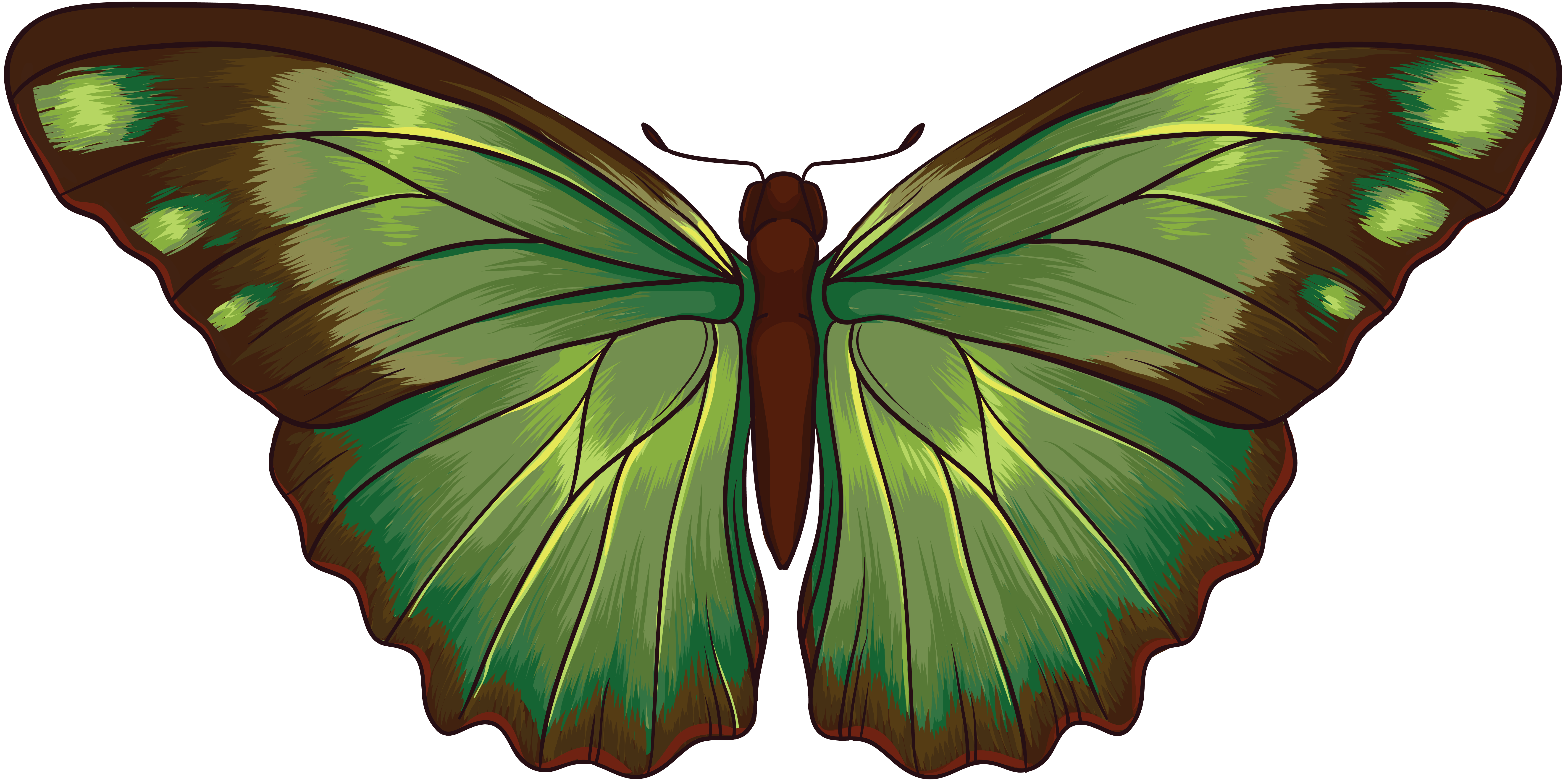 green butterfly PNG transparent image download, size: 6869x3423px