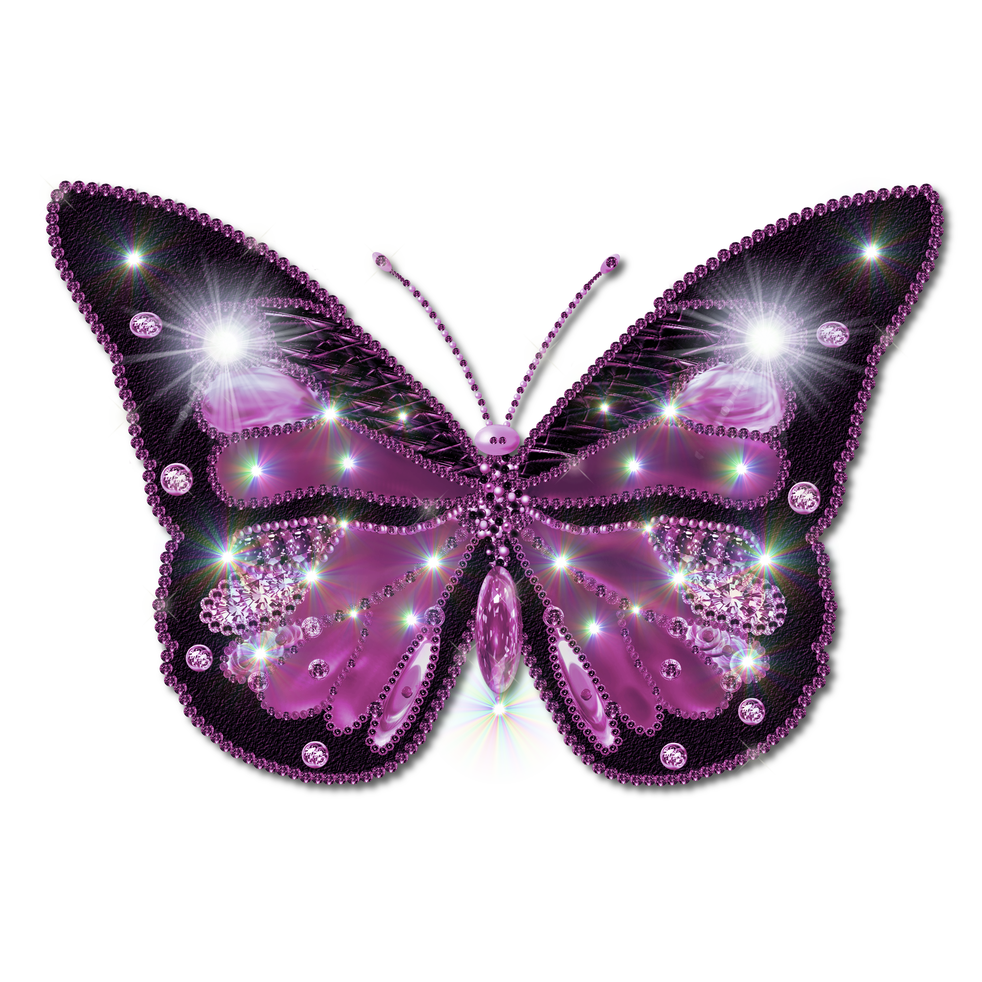 Butterfly PNG image transparent image download, size: 2000x2000px