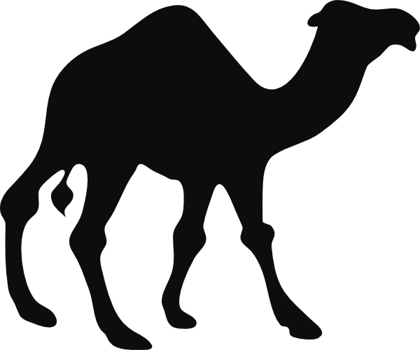 Camel Png Transparent Image Download Size 600x501px
