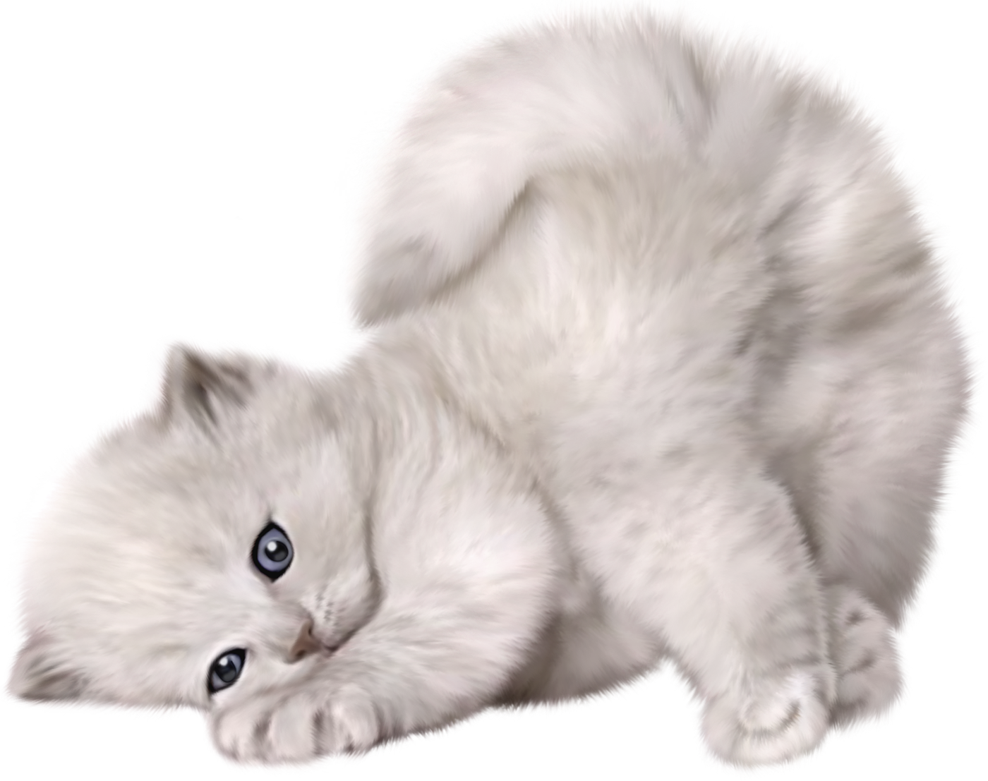 Cat kitten PNG transparent image download, size: 1400x1107px