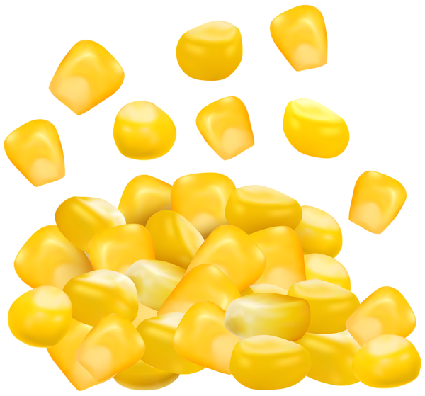Corn PNG Transparent Image Download Size X Px