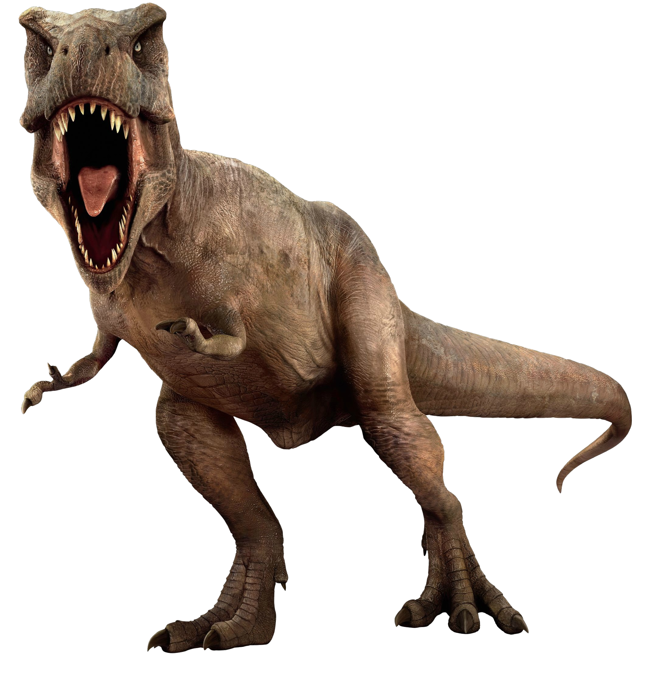 Dinosaur PNGs for Free Download