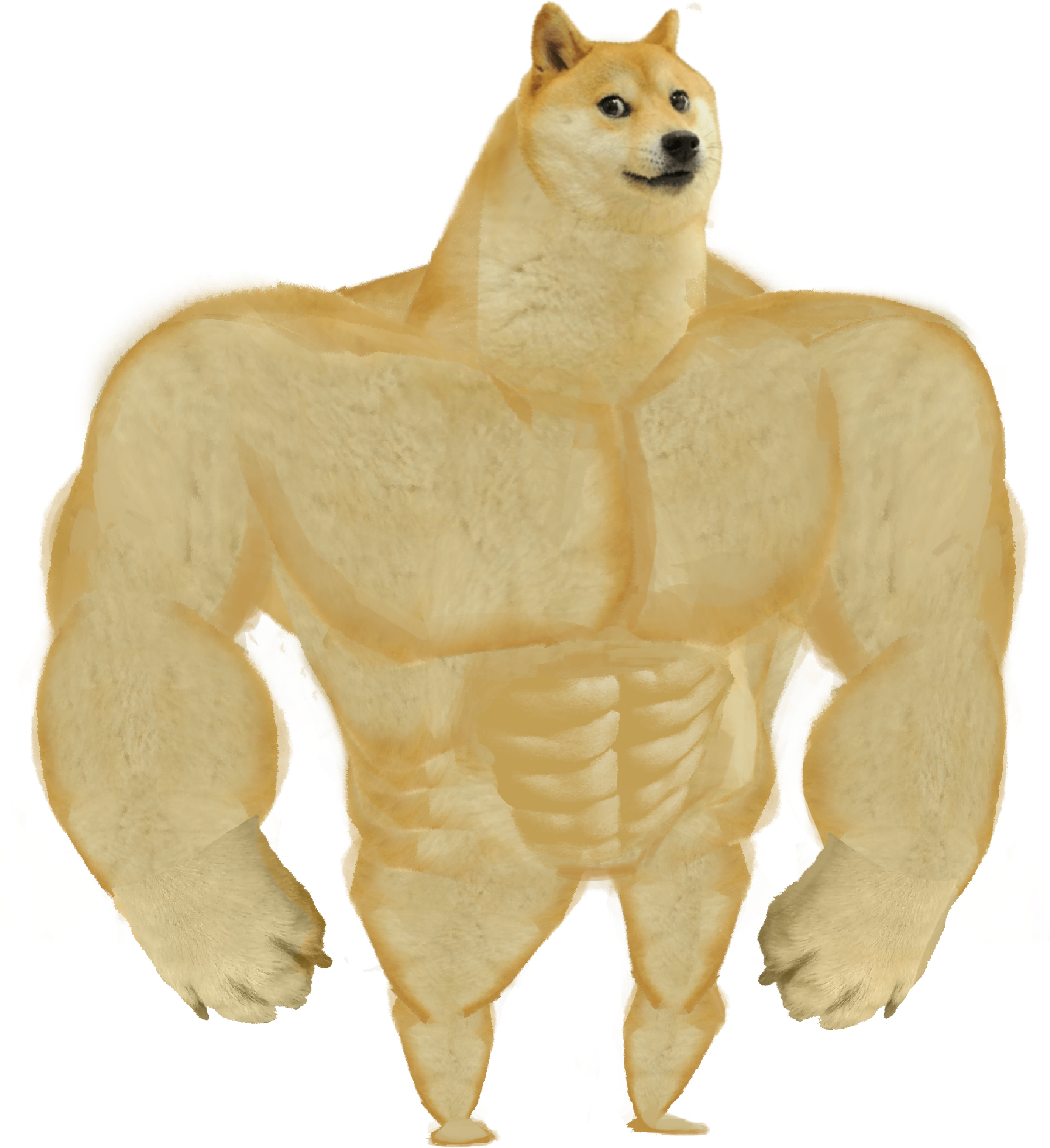 Doge Meme Large Resolution 3077x3365 PNG Picture Transparent 