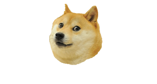 Doge Meme Detailed PNG Picture Transparent Background 500x268 PNGimg