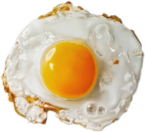 Fried Egg Top View, Animal, Background, Bird PNG Transparent Image and  Clipart for Free Download