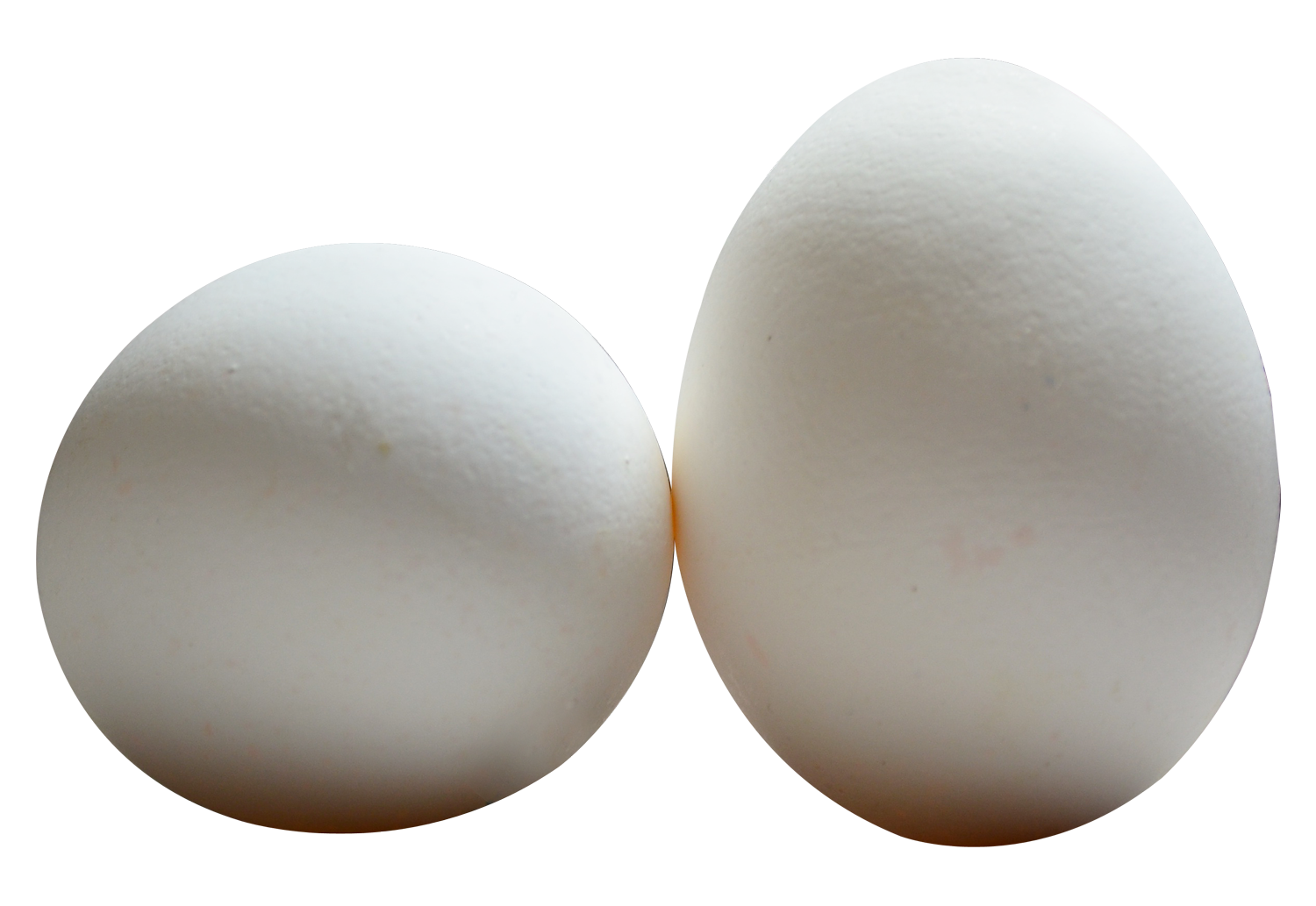 eggs PNG transparent image download, size: 1650x1365px