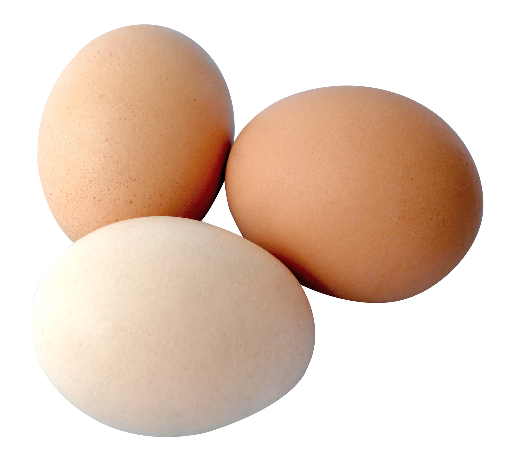 transparent eggs
