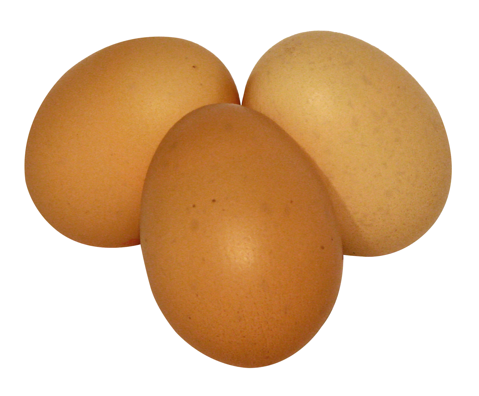 Download Eggs PNG Image for Free
