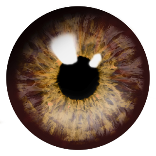 Eye PNG transparent image download, size: 320x320px