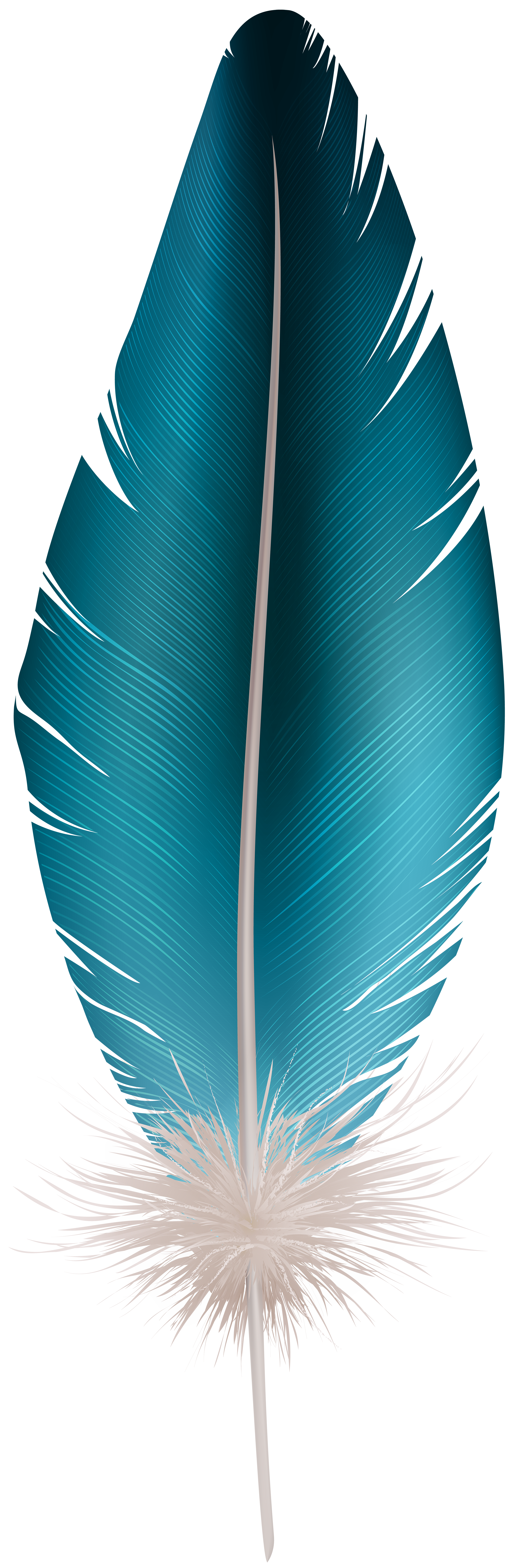 blue Feather PNG transparent image download, size: 2661x8000px