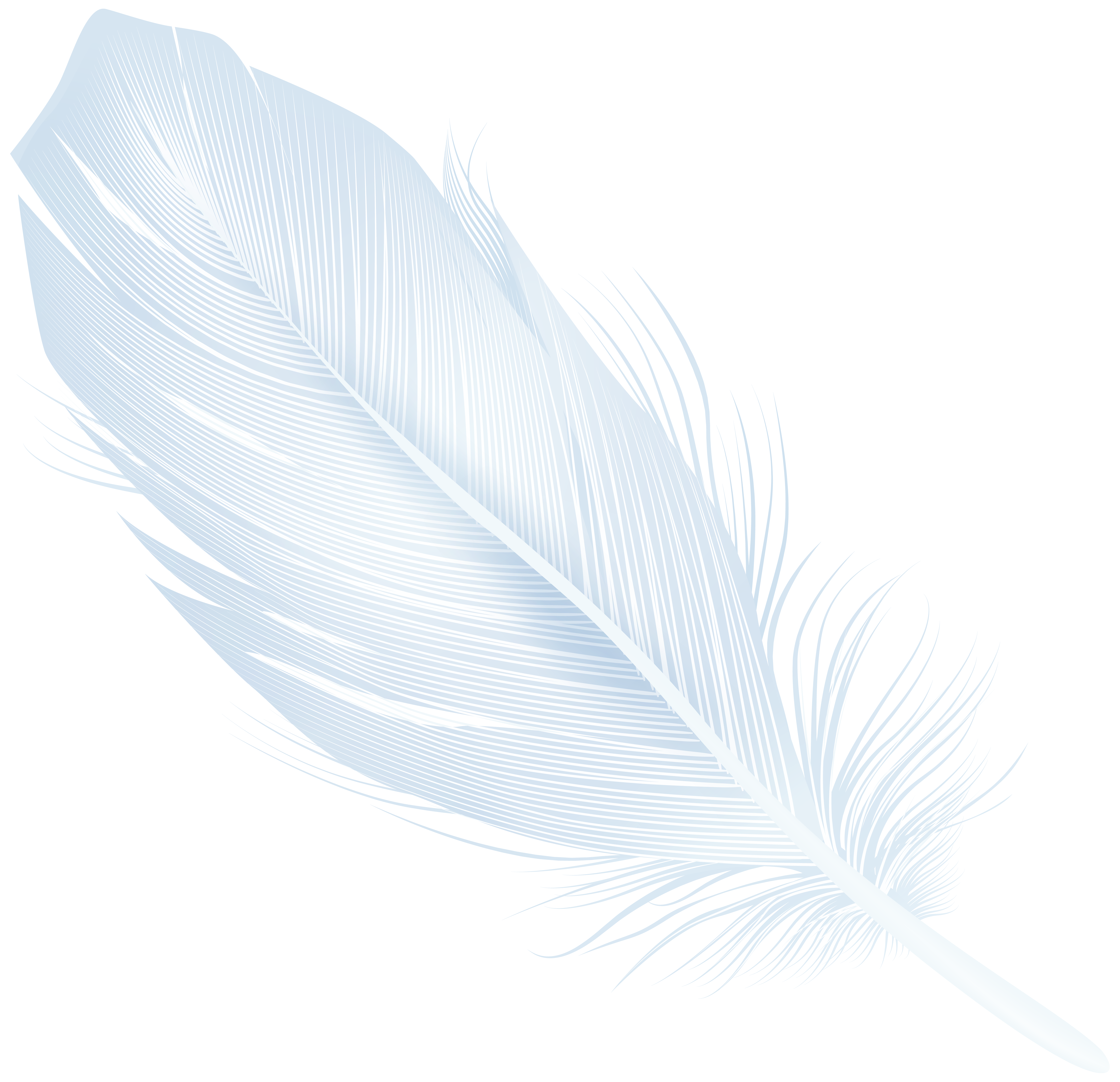 white feather images