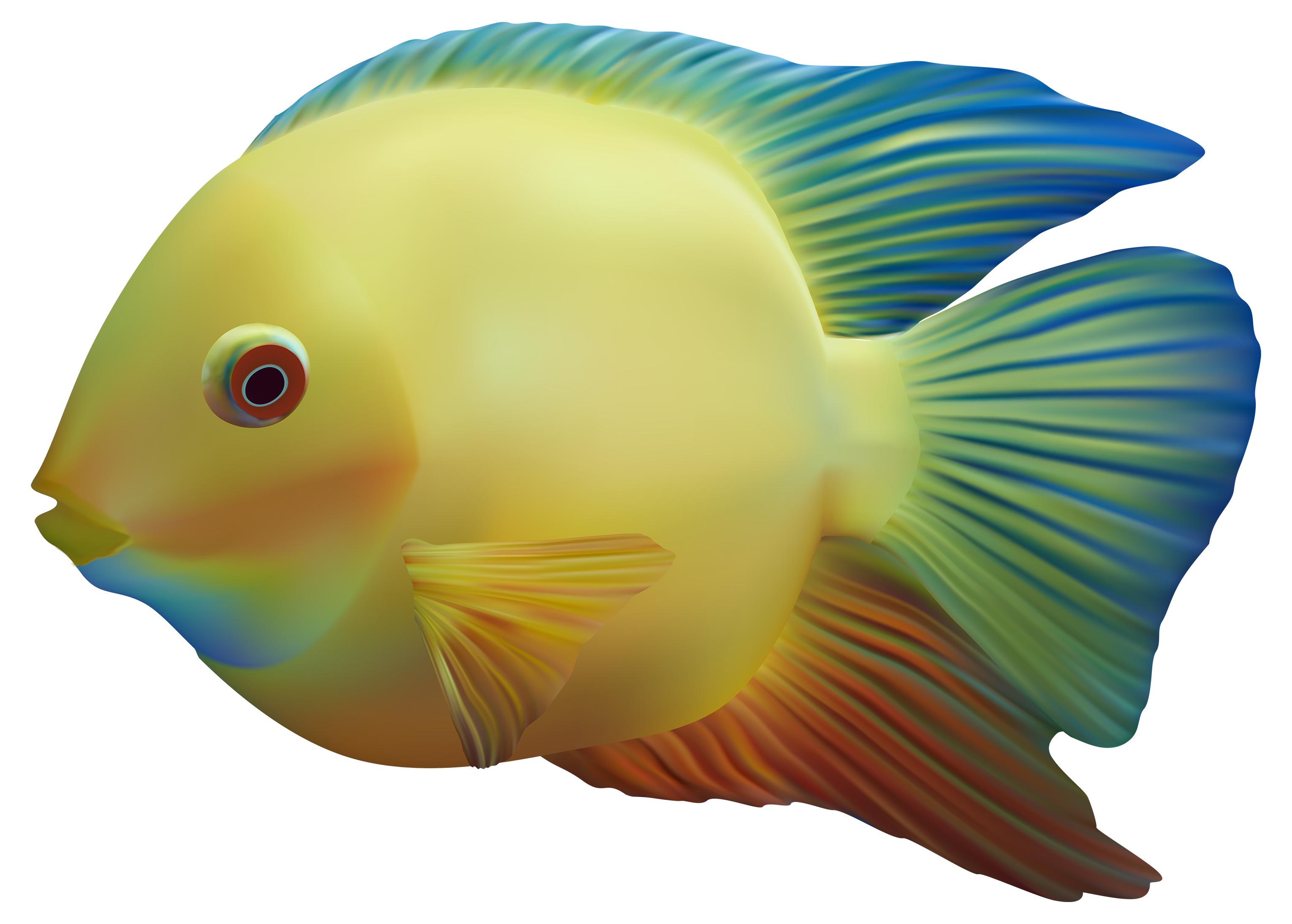 transparent background fish
