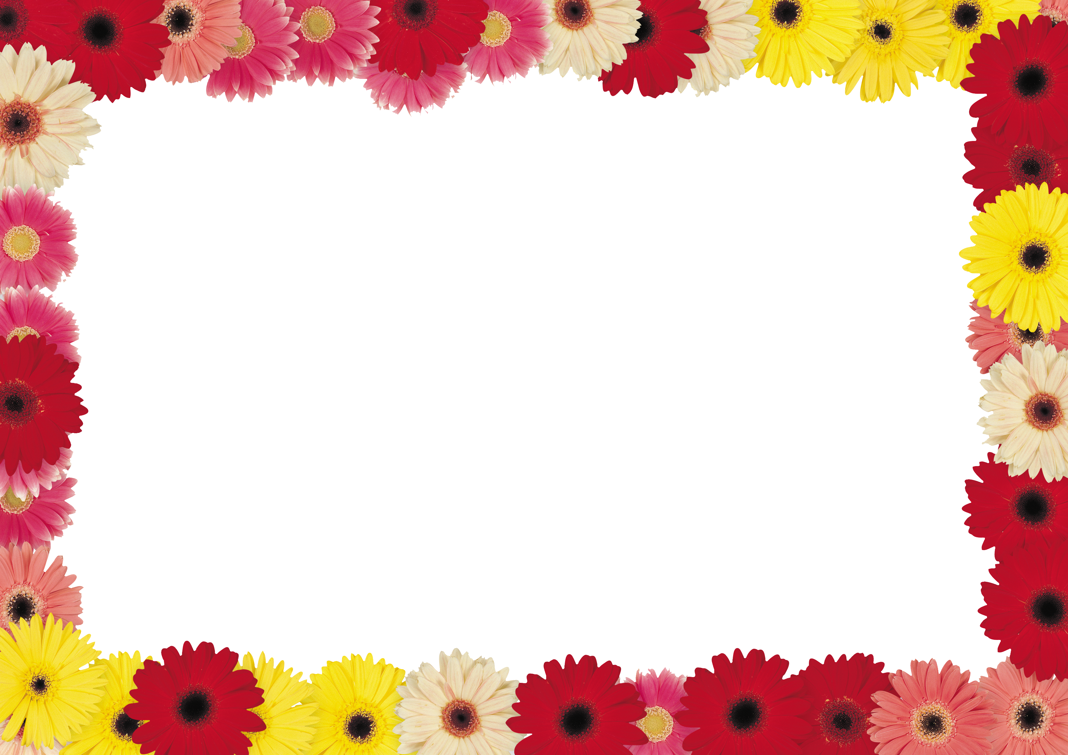 Floral frame PNG transparent image download, size: 3508x2480px