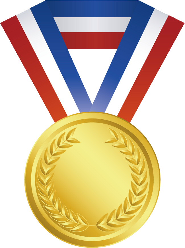 Gold Medal Png Transparent Image Download Size 650x871px