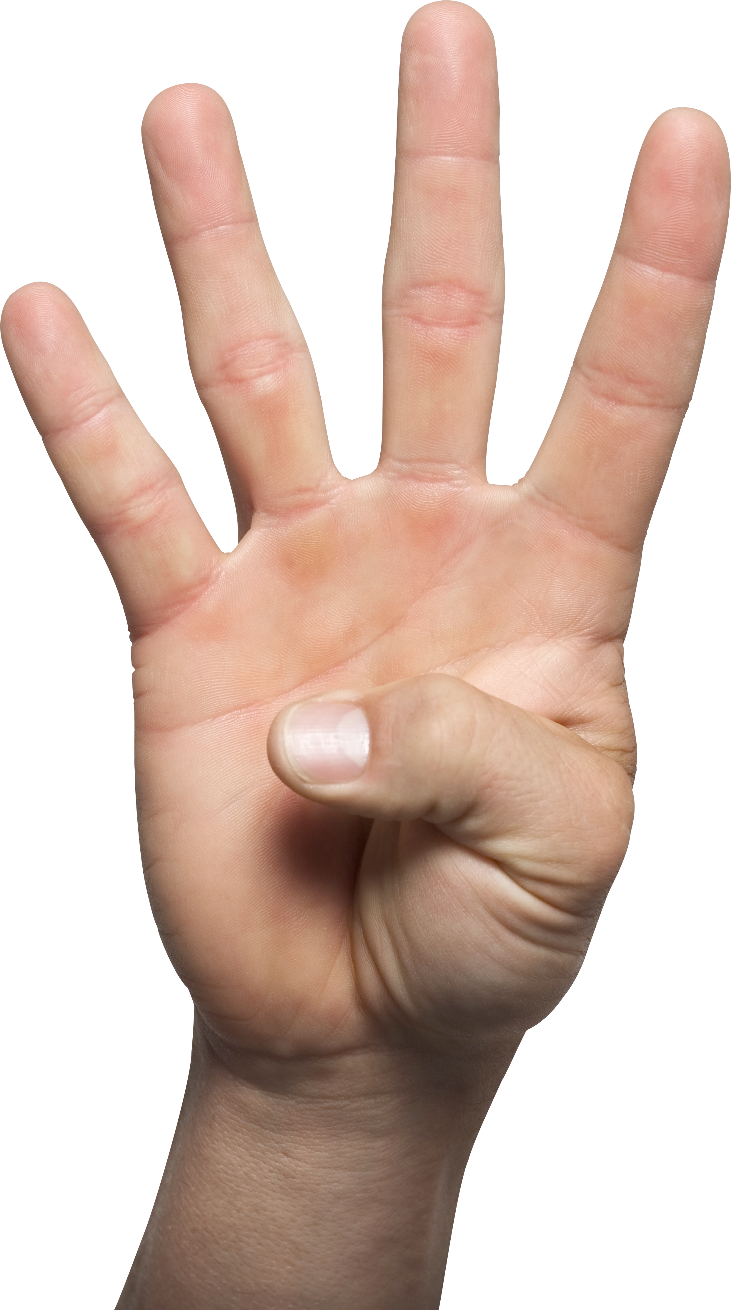 four hand PNG transparent image download, size: 2485x4449px