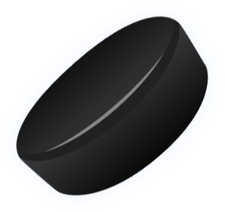 Hockey Puck PNG Image for Free Download