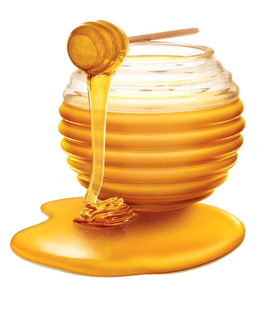Honey PNG transparent image download, size: 884x1080px