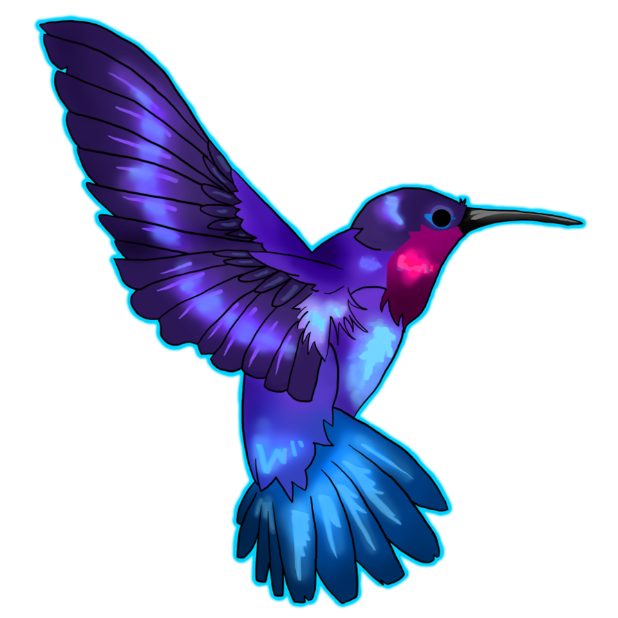 Hummingbird Png Transparent Image Download Size 894x894px