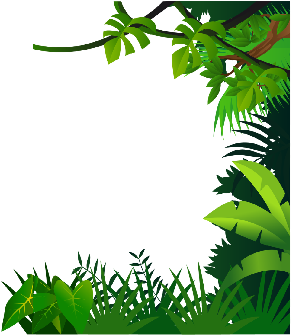 Jungle PNG transparent image download, size: 976x1126px