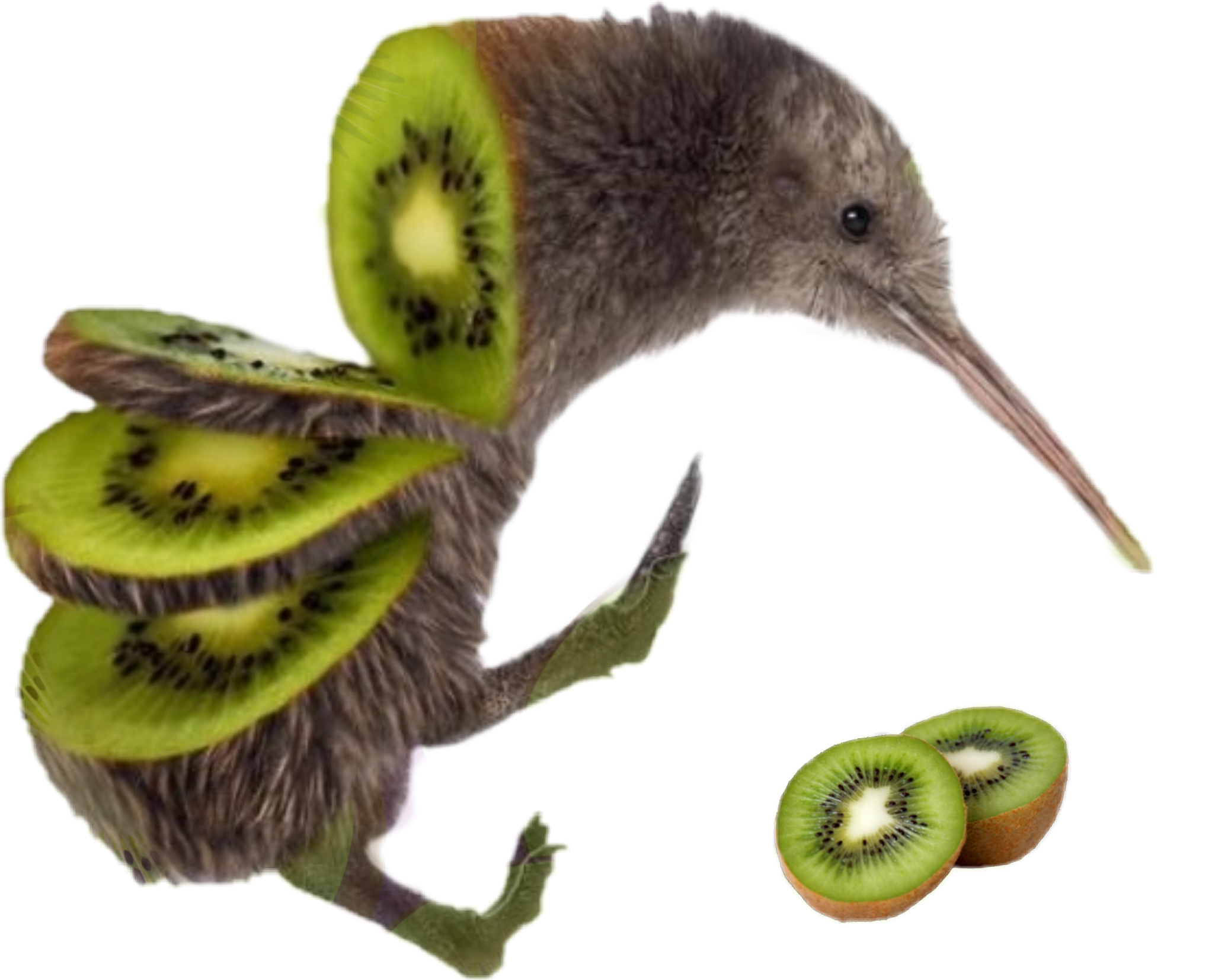 Kiwi bird PNG transparent image download, size: 2072x1655px