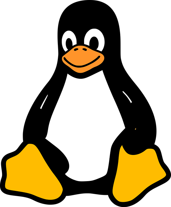 Linux logo PNG transparent image download, size: 594x720px