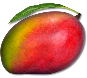 Mango PNG image transparent image download, size: 360x320px