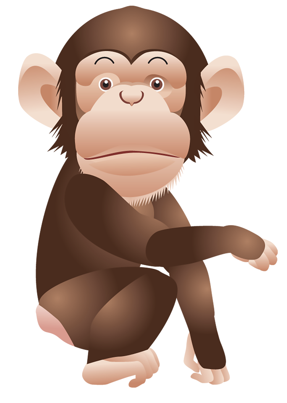 Monkey PNG transparent image download, size: 1000x1407px
