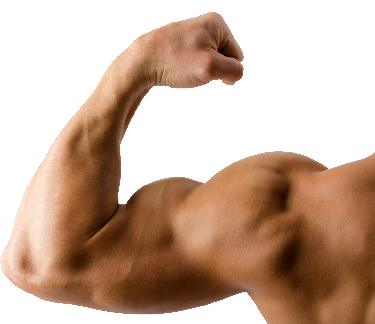 Human muscle illustration, Muscle arms Muscle arms , strong arms  transparent background PNG clipart