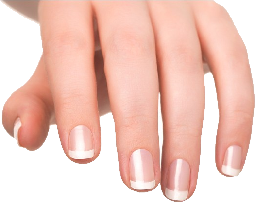 2. Clear Almond Nails - wide 9
